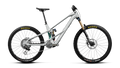Orbea WILD LT M-LTD RS MULLET Smooth Silver (Matt) - Escape Green C. View (Gloss) (2027)