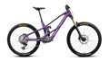 Orbea WILD LT M-TEAM RS MULLET Royal Plum-Noctiluca C.View (Gloss) (2027)